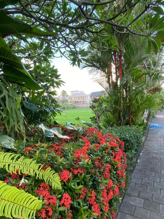 Krisna Homestay Canggu Eksteriør billede